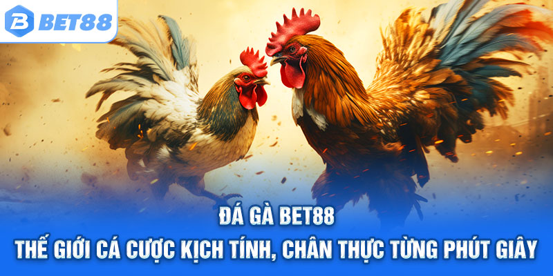 ĐÁ GÀ BET88 – Thế giới cá cược kịch tính, chân thực từng phút giây