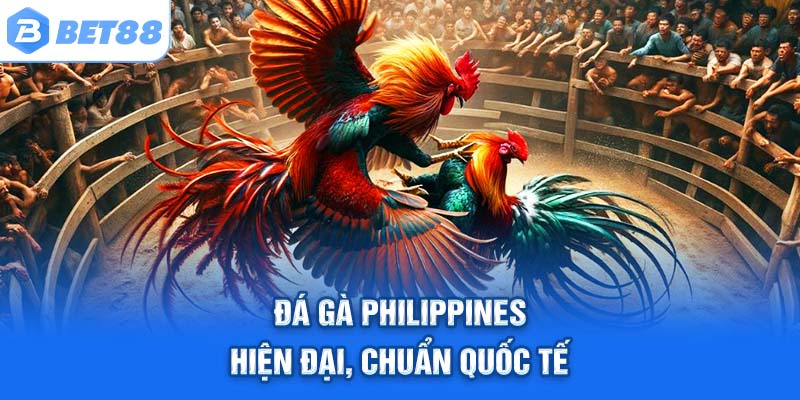 Đá gà Philippines – hiện đại, chuẩn quốc tế